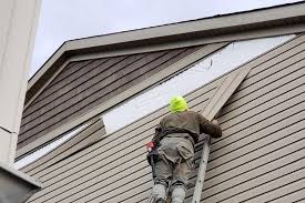 Best Siding Painting and Refinishing  in Poplar Grove, IL